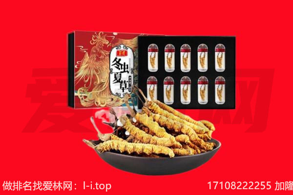 承德双滦区回收虫草.jpg